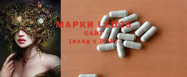 прущие грибы Вязники
