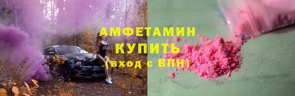 прущие грибы Вязники