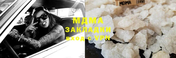 прущие грибы Вязники