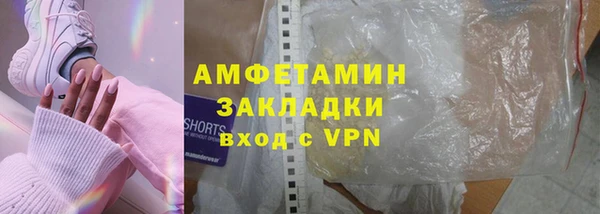 прущие грибы Вязьма