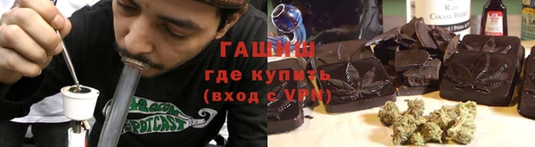 прущие грибы Вязьма