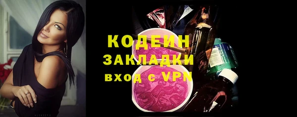 прущие грибы Вязники