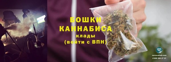 прущие грибы Вязьма
