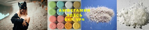 прущие грибы Вязники