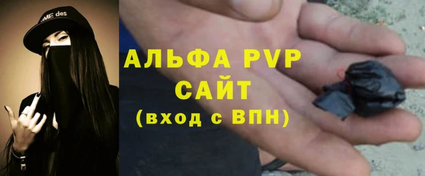 прущие грибы Вязники