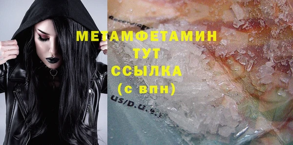 прущие грибы Вязники