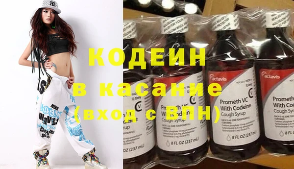 прущие грибы Вязьма