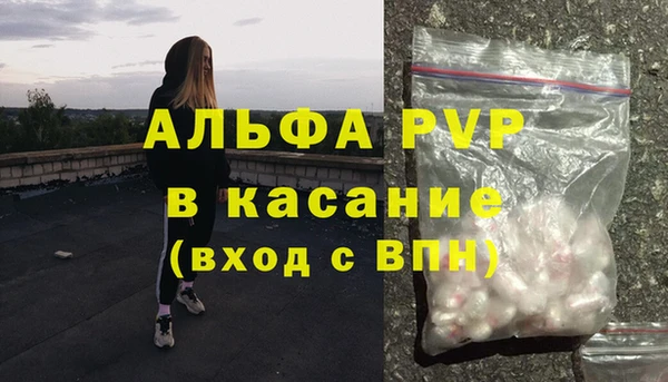 прущие грибы Вязьма