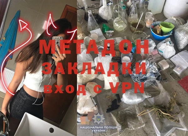 прущие грибы Вязьма