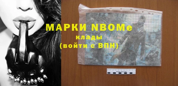 прущие грибы Вязьма