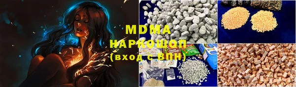 прущие грибы Вязьма
