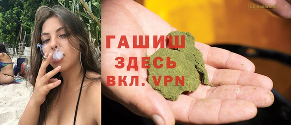 прущие грибы Вязьма